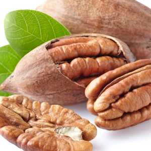 خرید نهال گردو پکان