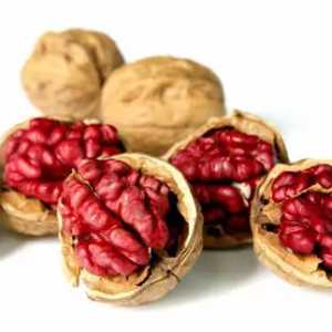 خرید نهال گردو توسرخ