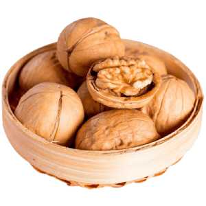 خرید نهال گردو دماوند