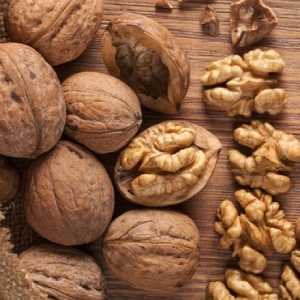 خرید نهال گردو شیلی