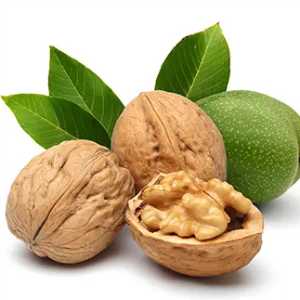 خرید نهال گردو فرانکت