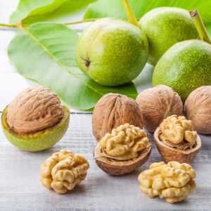 خرید نهال گردو فرنت