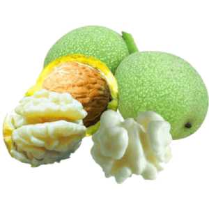 خرید نهال گردو لارا