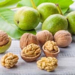 خرید نهال گردو خوشه ای