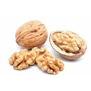 خرید نهال گردو شبین