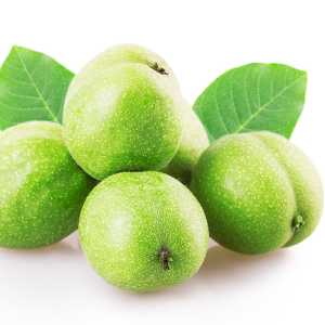 خرید نهال گردو سورو