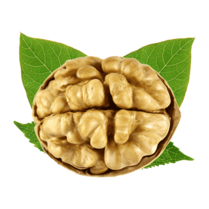 خرید نهال گردو گلدن