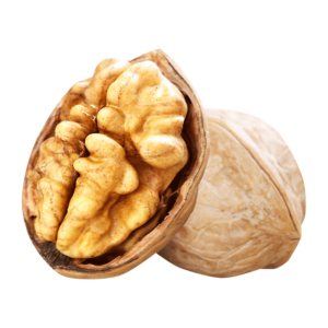 خرید نهال گردو گلدن