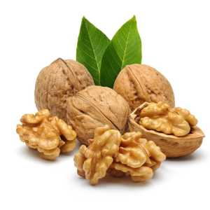 خرید نهال گردو بیلچک