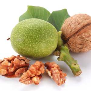 خرید نهال گردو بیلچک