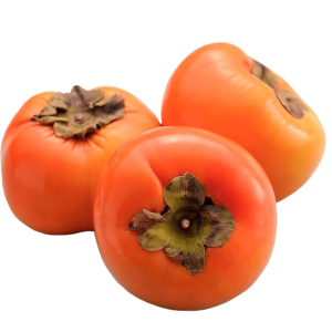 خرید نهال خرمالو ژاپنی