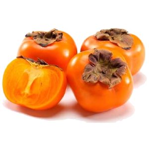 خرید نهال خرمالو شیرازی