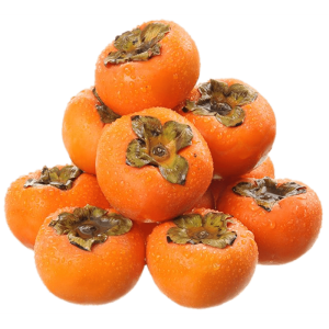 خرید نهال خرمالو جنگلی