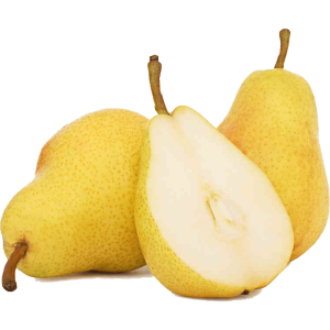 خرید نهال گلابی آسیایی
