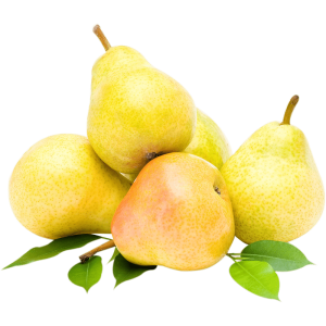 خرید نهال گلابی کشمشی