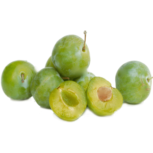 خرید نهال گوجه سبز ساوه