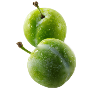 خرید نهال گوجه سبز اردبیل