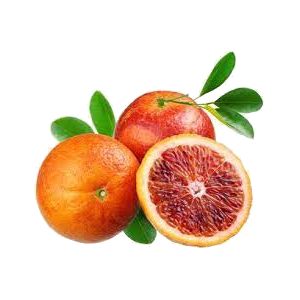خرید نهال نارنگی خونی