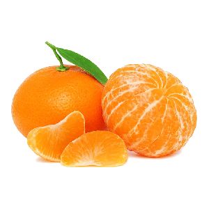 خرید نهال نارنگی چینی (کلمانتین)