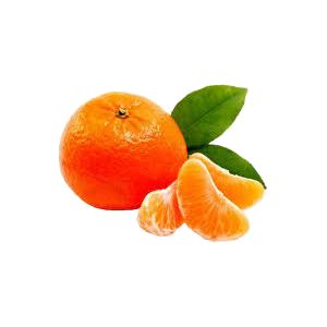 خرید نهال نارنگی چینی (کلمانتین)