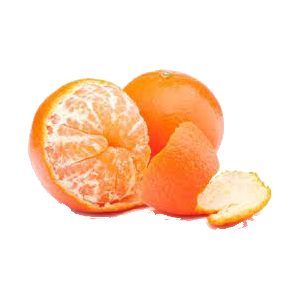 خرید نهال نارنگی چینی (کلمانتین)