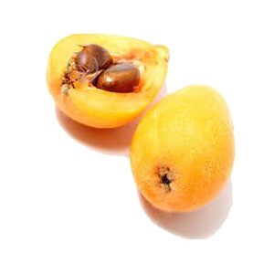 خرید نهال ازگیل گلخانه‌ای
