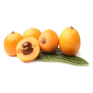 خرید نهال ازگیل گلخانه‌ای