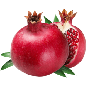 خرید نهال انار یزدی