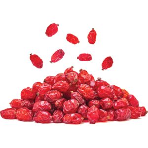 خرید نهال زرشک کرمانشاهی