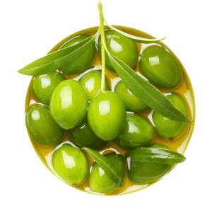 خرید نهال زیتون پیکوال