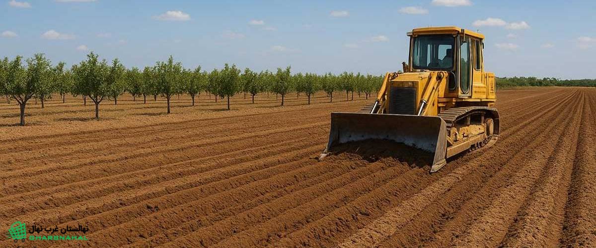 برآورد هزینه احداث یک هکتار باغ پسته