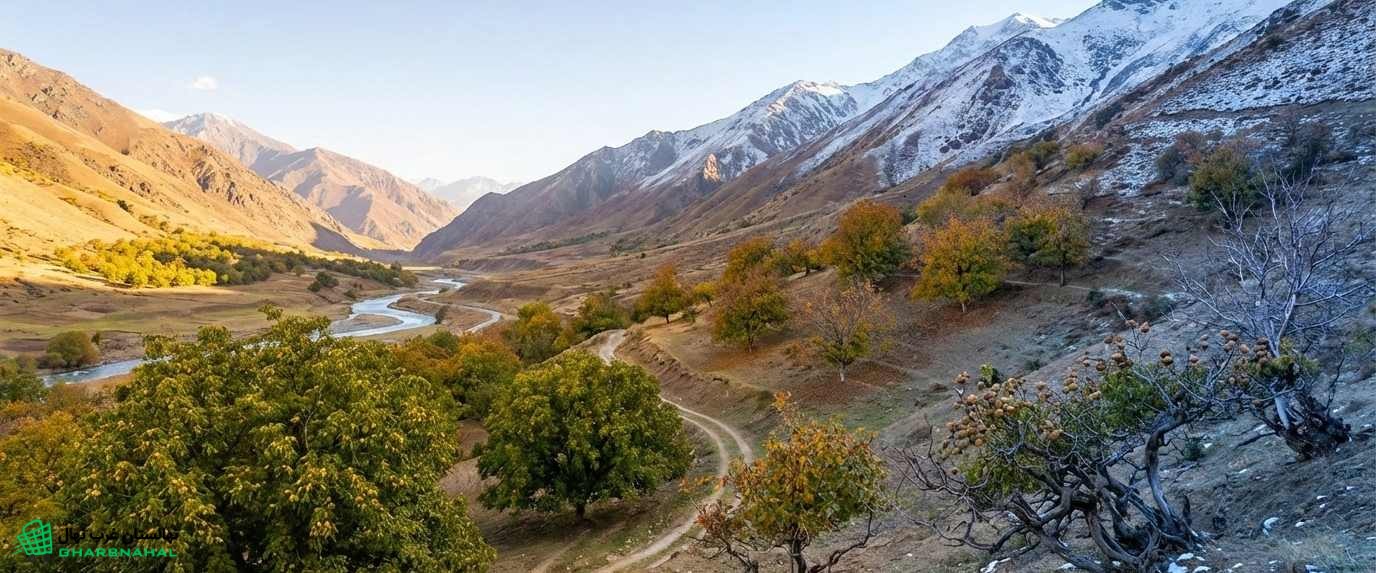 بررسی تأثیر ارتفاع از سطح دریا 🌊 بر باردهی نهال گردو🍀