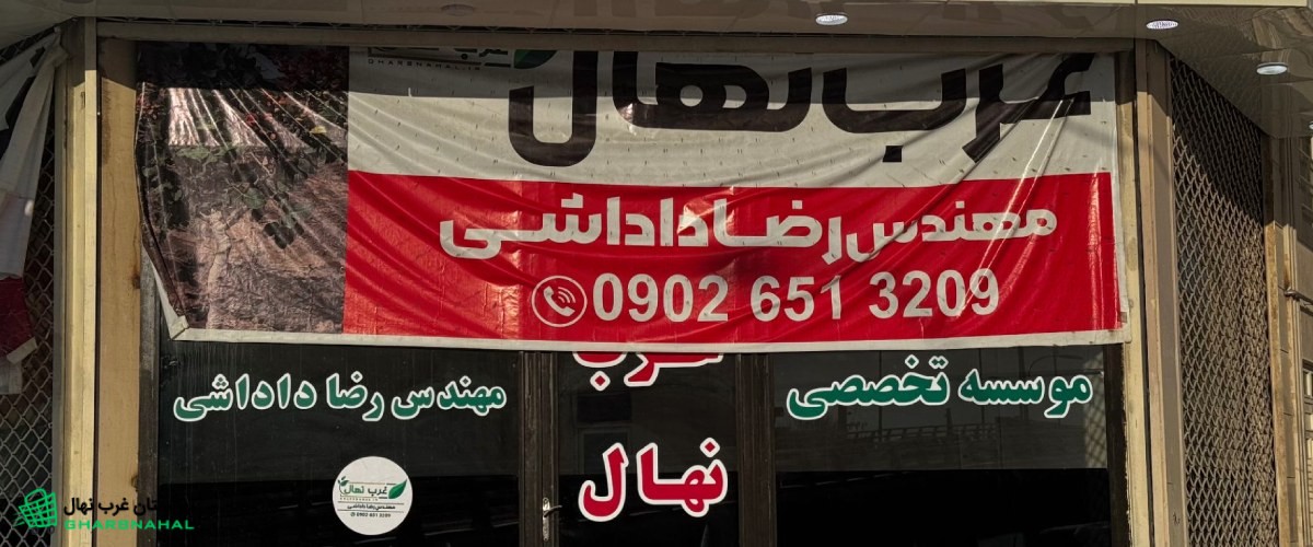 تولید 2 میلیون نهال مقاوم به کم‌آبی و دیرگل در نهالستان غرب نهال 🌱📊